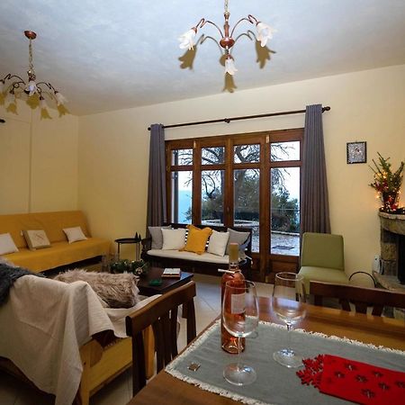 Meli Apartments Arachova Zewnętrze zdjęcie